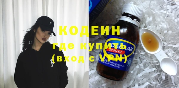 крисы Абаза
