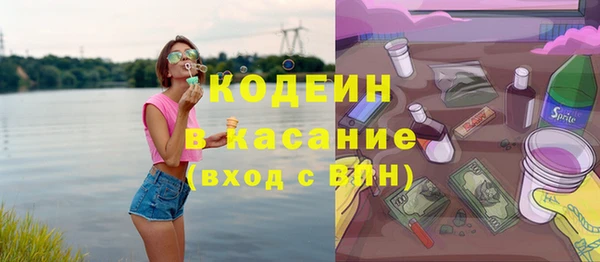 крисы Абаза