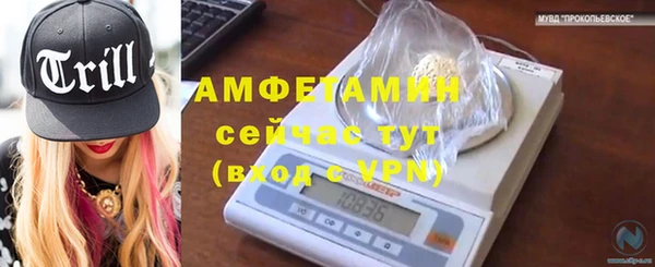 крисы Абаза