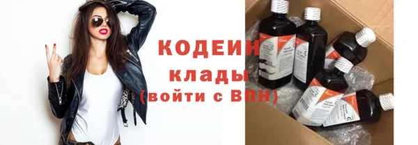 крисы Абаза